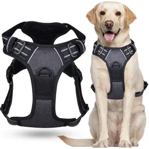 Harnais anti-traction pour chien DogSafe®