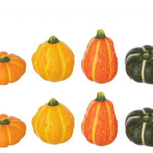 Boite De 8 Citrouille Argile Multicolore Jline