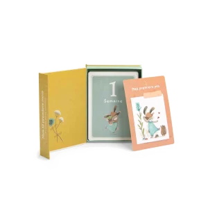 CARTES MES 12 PREMIERS MOIS TROIS PETITS LAPINS (30 CARTES) MOULIN ROTY