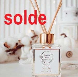 DIFFUSEUR A PARFUM A BÂTON – MERVEILLE BERRIES