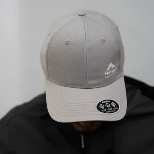 HELVETICA WELLS GRIS