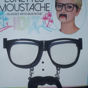 Lunettes moustaches