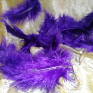 Plumes violettes