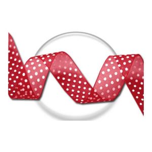 LACETS FUN lacets RUB121 ROUGE