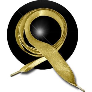 LACETS FUN lacets SAT319 OR