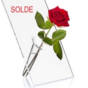SOLIFLORE : vase à une fleur