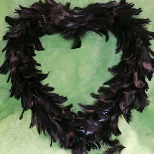 Cœur plumes noires