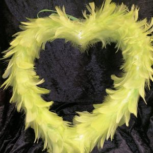 Cœur plumes vertes