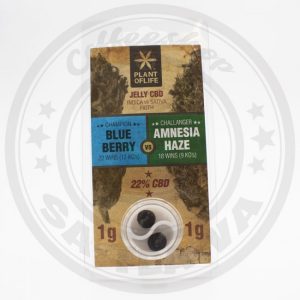 Résine Jelly CBD Blue Berry vs Amnesia 22%