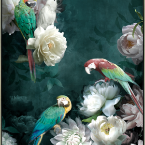 OISEAUX TOILE