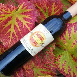 Pinot noir – Arpents du Soleil 50CL